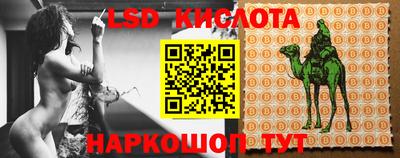 PSILOCYBIN Камышлов